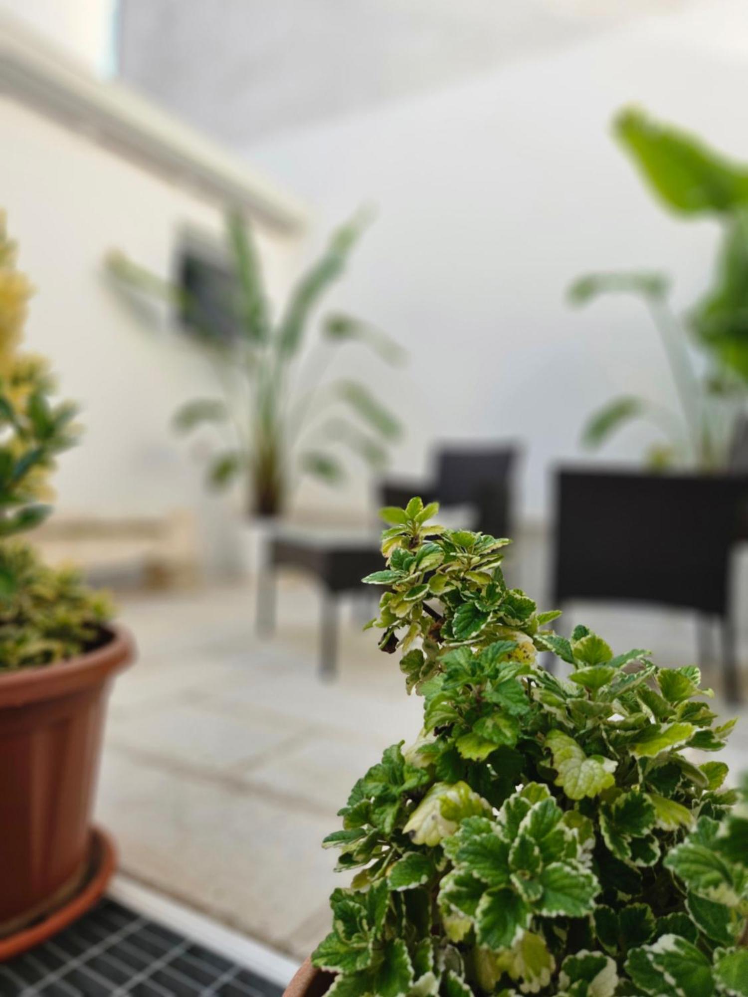 B&B La Campana Salentina Galatone Zewnętrze zdjęcie